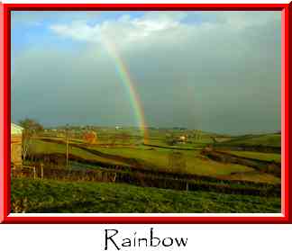 Rainbow Thumbnail