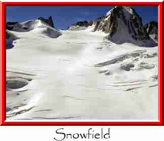 Snowfield Thumbnail