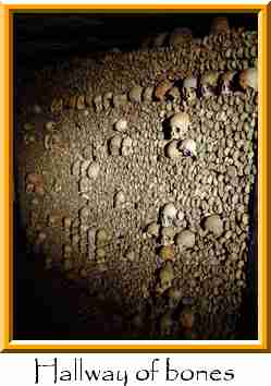 Hallway of bones Thumbnail