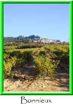 Bonnieux Thumbnail