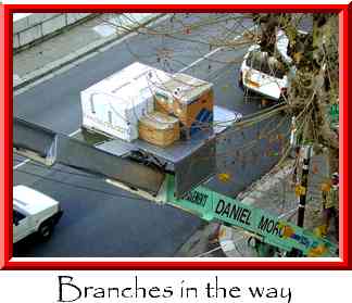 Branches in the way Thumbnail