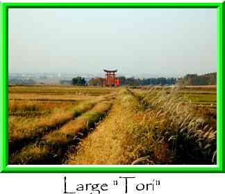 Large 
