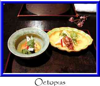 Octopus Thumbnail