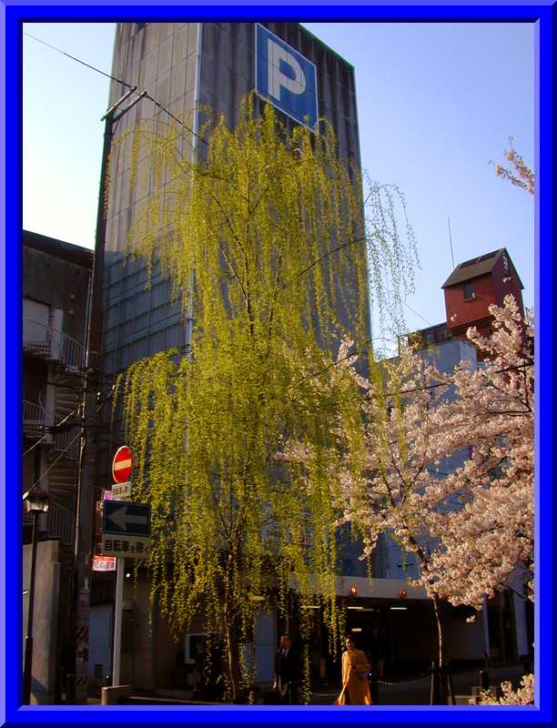 Kiyamachi-dori