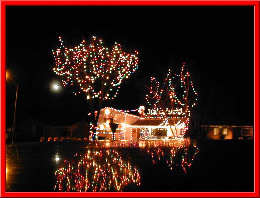Christmas Lights