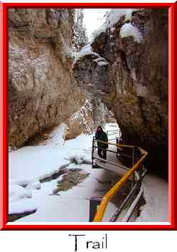 Trail Thumbnail
