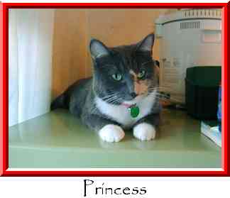 Princess Thumbnail