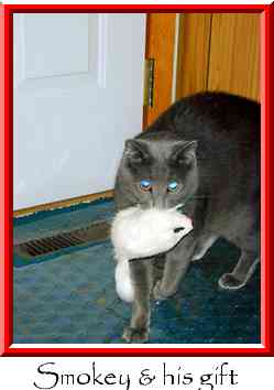 Smokey & his gift Thumbnail