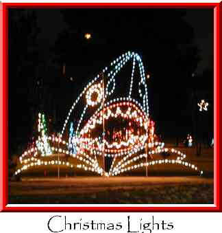 Christmas Lights Thumbnail