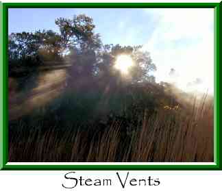 Steam Vents Thumbnail