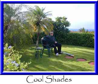 Cool Shades Thumbnail